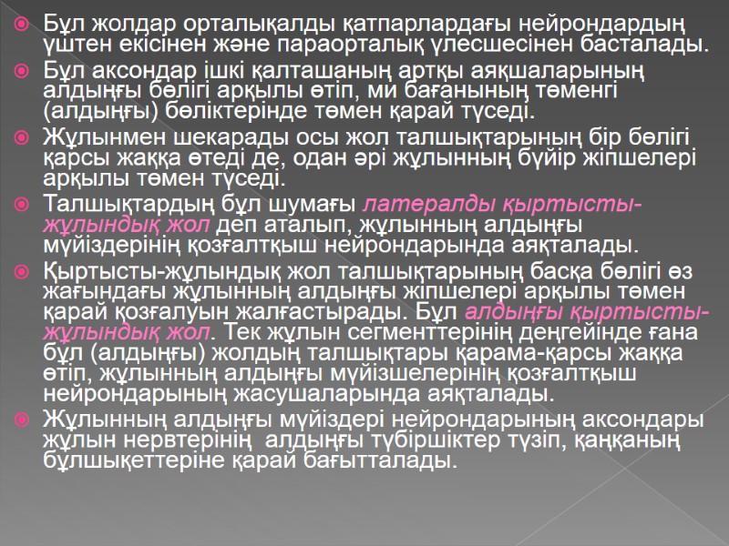 Бұл жолдар орталықалды қатпарлардағы нейрондардың үштен екісінен және параорталық үлесшесінен басталады.  Бұл аксондар